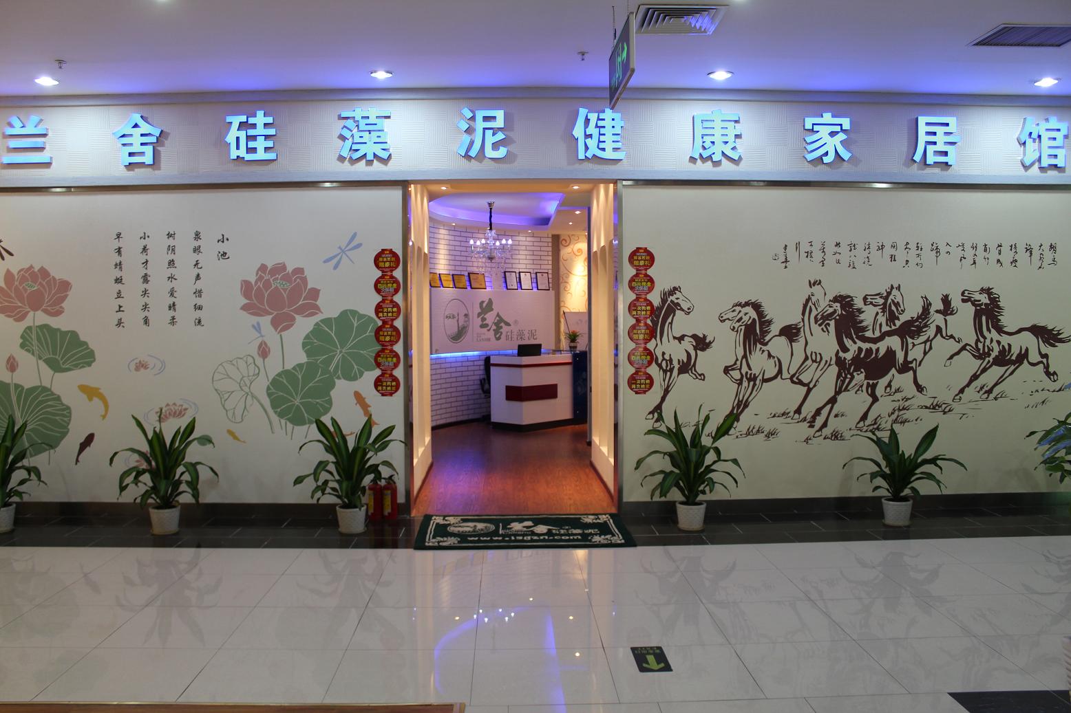 書畫寫意12